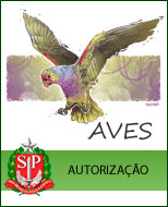 Autorização - Tigre Dagua